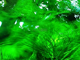 摘要,海綿,性質(zhì)