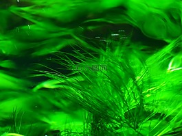 摘要,海綿,性質(zhì)