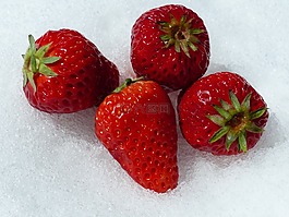 草莓,红色,雪