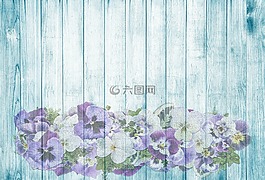 潘茜,在木材上,夏季