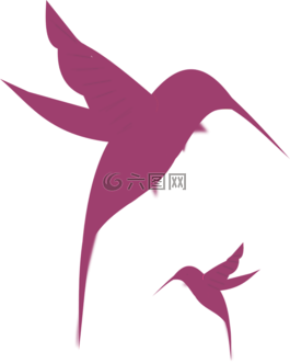 蜂鳥,紫色,飛行