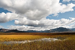 短暫的池塘,景觀,景區(qū)