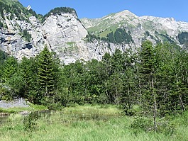 山,阿爾卑斯山,景觀