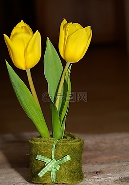 花,schnittblume,黃色花