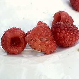 覆盆子,漿果,野果