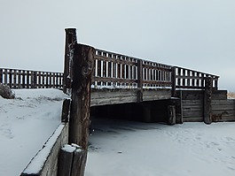 橋,木,河