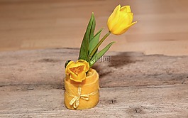 花,schnittblume,春天的花