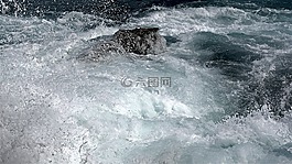 性質(zhì),海洋,波