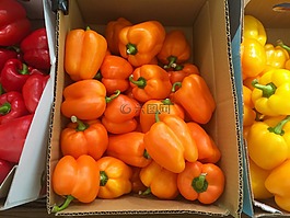 橙色,辣椒粉,黃色
