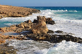 巖質海岸,波,海