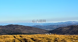 景觀,草,綠色