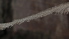 景觀,字段,亞美尼亞