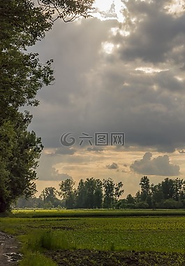景觀,羊毛,天空