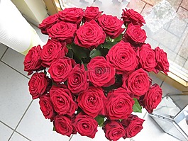 玫瑰,花瓶,花束