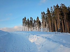 雪,冬天,寒冬