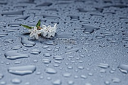 雨滴,水分,抽象