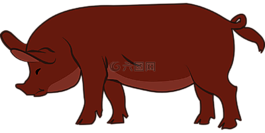 豬,牲畜,動(dòng)物
