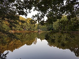 別墅,kazimierowka,池塘