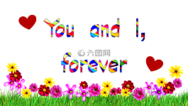 心,愛,情人節(jié)