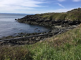 海岸線,海灘,海洋