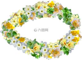 水仙,鮮花,春天