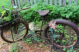 自行車,花園,循環(huán)
