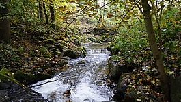 水运行,性质,景观