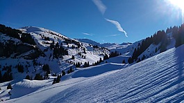 雪,冬天,山