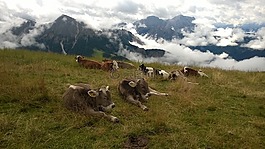 南蒂羅爾,高山,山