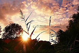 日落,黃昏,晚上