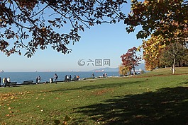 大自然,公園,秋季