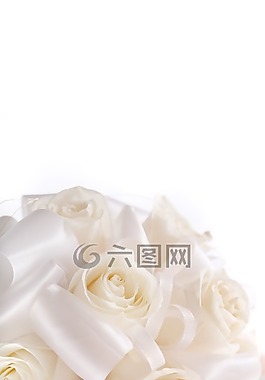 羅莎,鮮花,紅玫瑰