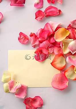 紅色,紅玫瑰,鮮花