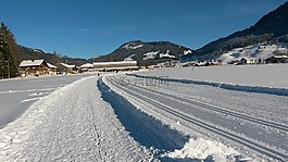 寒冬,徑,越野滑雪