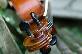 violon?ello,藝術,音樂