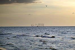 海,船舶,地平線