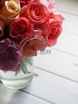 玫瑰,花,花的