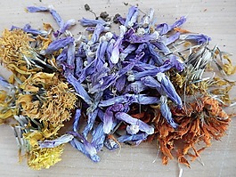 種子,鮮花,雌蕊