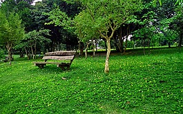 銀行,公園,樹木