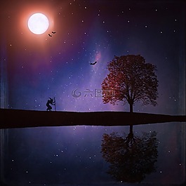 景观,夜,湖