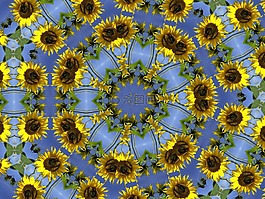 万花筒,sonnenblumnen,天空