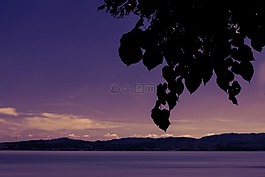 海,湖,水