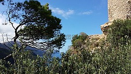 查看對(duì)海,景觀,馬洛卡