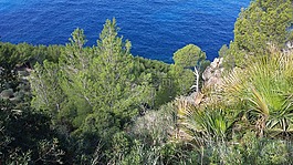 查看對(duì)海,景觀,馬洛卡