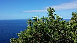 查看對(duì)海,景觀,馬洛卡