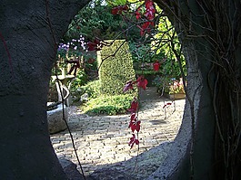 通道,花園,秘密花園