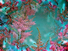 粉紅色的花,藝術(shù),花的