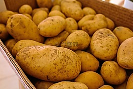 土豆,蔬菜,食品
