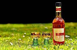 酒,喝,酒杯