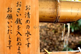 木材,水,勺子